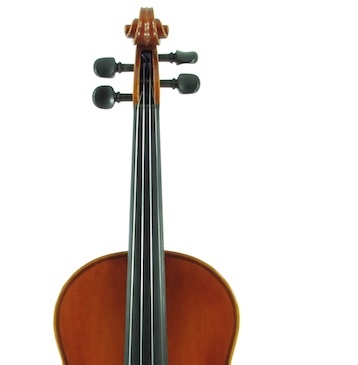 7 Foto